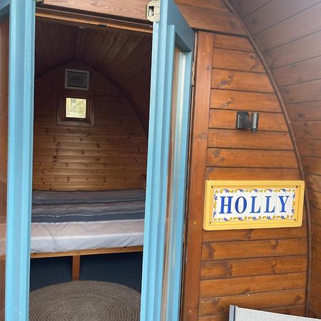 Hotel Glamping In The 2Nd Field Aughrim Exteriér fotografie