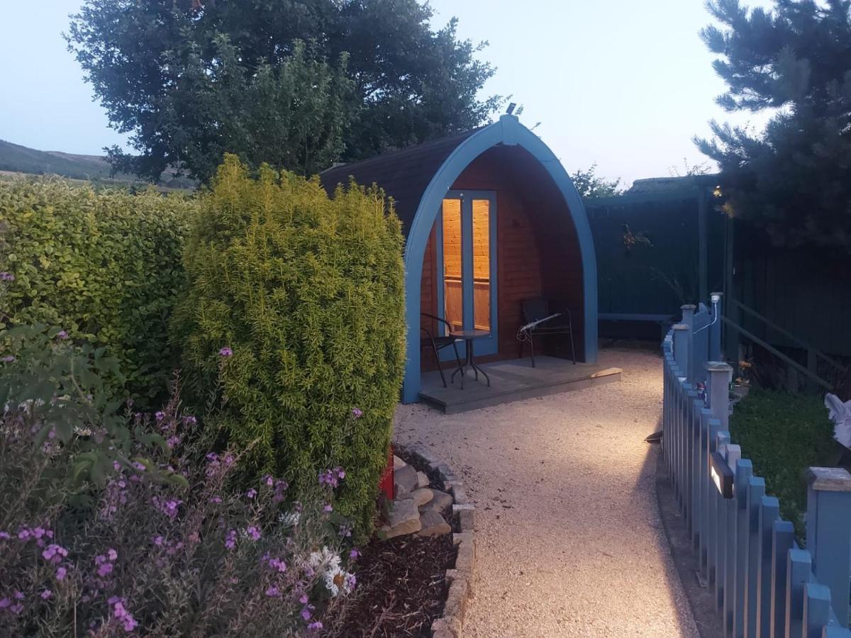 Hotel Glamping In The 2Nd Field Aughrim Exteriér fotografie